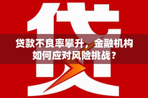 万丹贷款不良率攀升，金融机构如何应对风险挑战？
