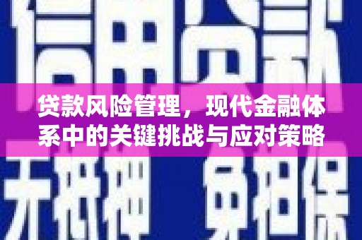 万丹贷款风险管理，现代金融体系中的关键挑战与应对策略