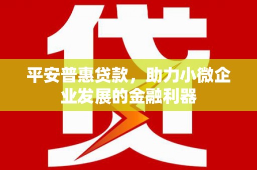 万丹平安普惠贷款，助力小微企业发展的金融利器