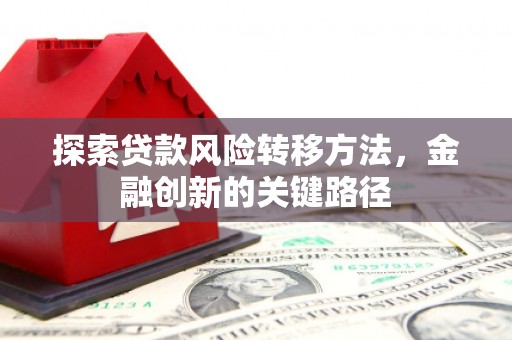 万丹探索贷款风险转移方法，金融创新的关键路径