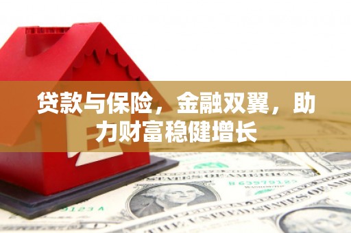 万丹贷款与保险，金融双翼，助力财富稳健增长