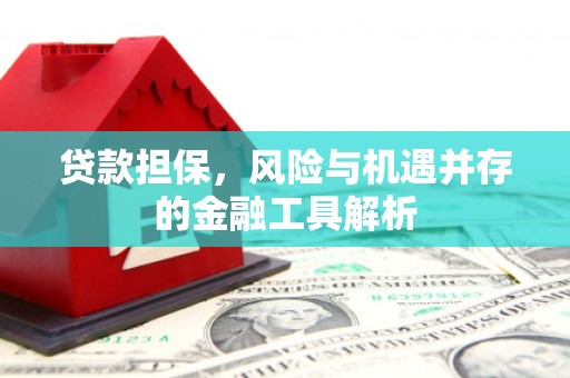 万丹贷款担保，风险与机遇并存的金融工具解析