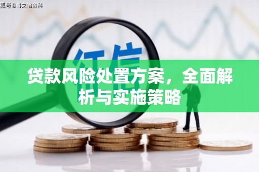 万丹贷款风险处置方案，全面解析与实施策略